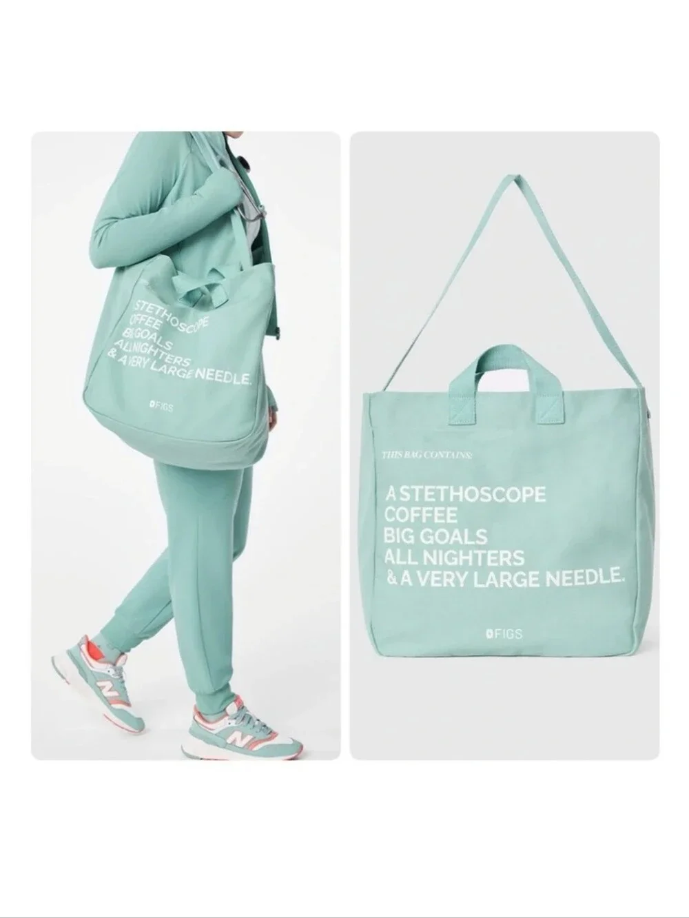 Figs Canvas  A Very Large Needle Tote Bag in Seaglass